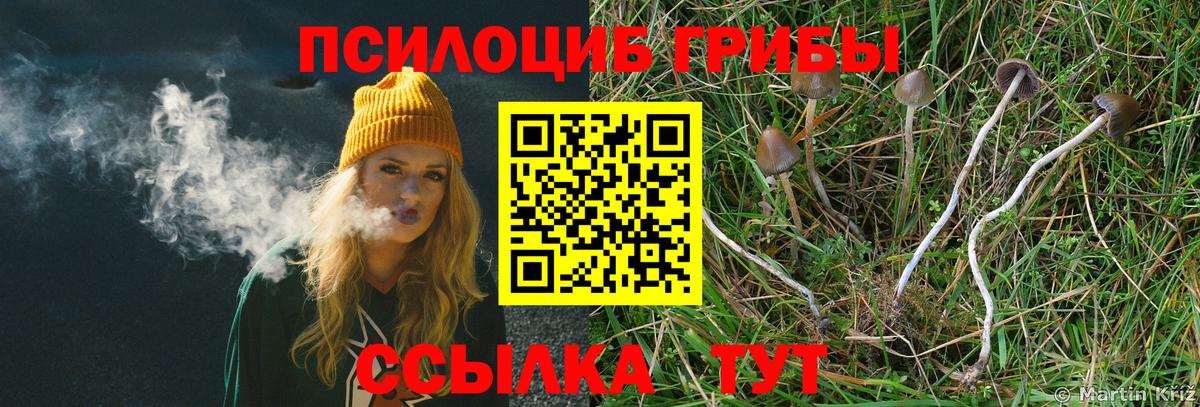 Псилоцибиновые грибы мицелий Грязи